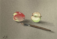 Stilleben - Kniv og Æbler